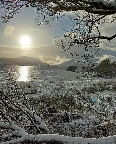 Johnny B's 3* 巴利博菲