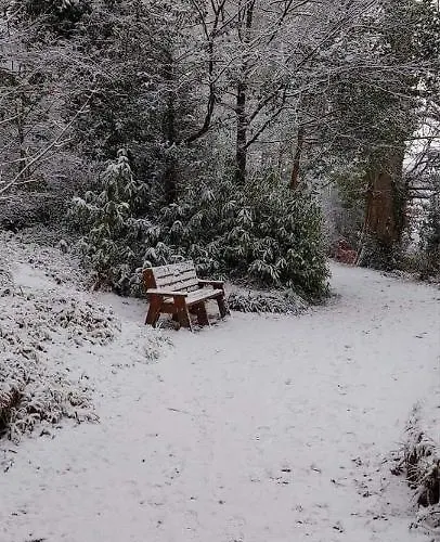 Johnny B's Frühstückspension Ballybofey