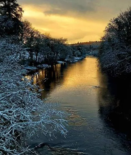 住宿加早餐酒店 Johnny B's 巴利博菲